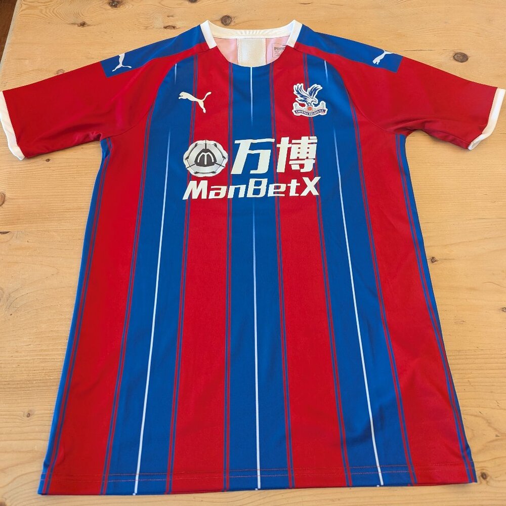Puma Crystal Palace 2019/2020 Jersey, size medium